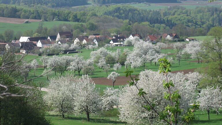 Blick in ein grünes Tal. Auf einer großen Wiese stehen verschiedene Obstbäume. Am Horizont ist ein Dorf zu sehen.