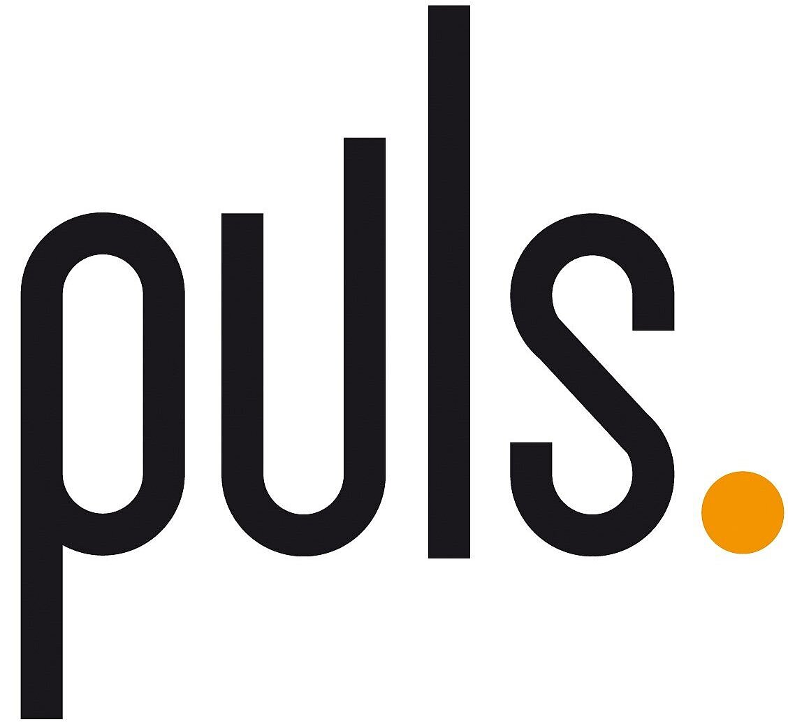 Logo puls GmbH